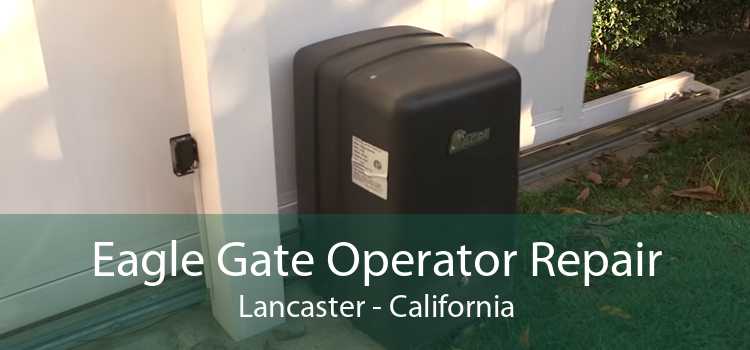 Eagle Gate Operator Repair Lancaster - California