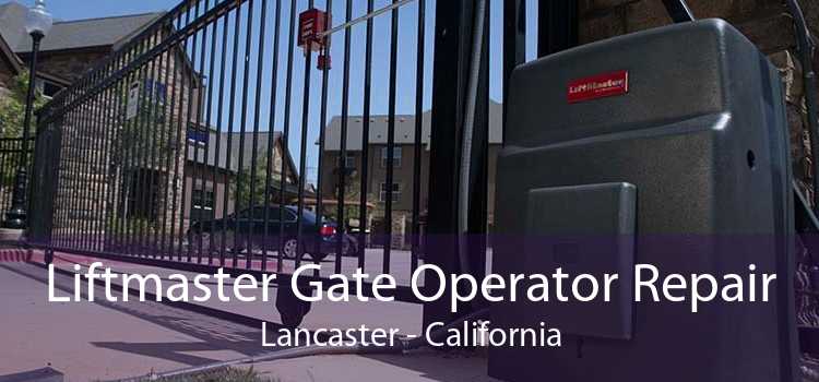 Liftmaster Gate Operator Repair Lancaster - California